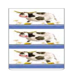 BM/Dairy Cows