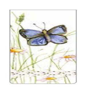 BM/Butterfly
