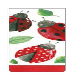 BM/Ladybirds
