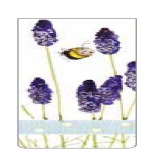 BM/Lavender