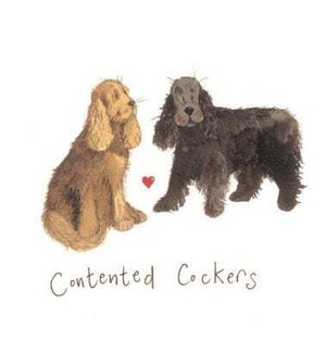 COASTER/Contented Cockers