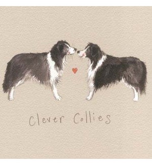 COASTER/Clever Collies