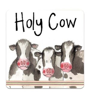 COASTER/Holy Cow