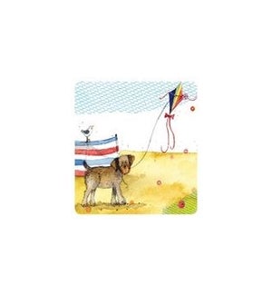 COASTER/Kite