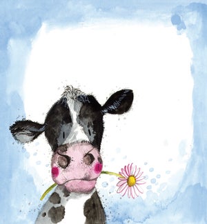 COASTER/Sunshine Cow