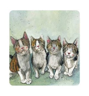 COASTER/Quadruplets