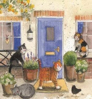 COASTER/New Cats Chorus