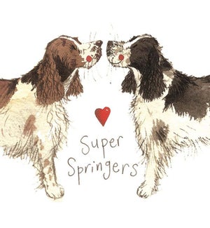 MAG/Super Springers
