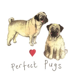 MAG/Perfect Pugs