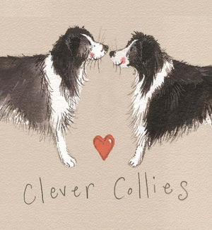 MAG/Clever Collies