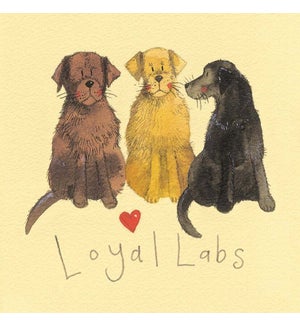 MAG/Loyal Labs