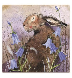 MAG/Hare And Harebell