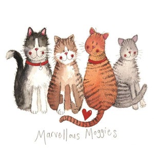 MAG/Marvellous Moggies