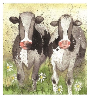MAG/Curious Cows