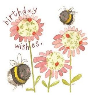BDB/Birthday Bee