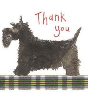 TYB/Thank You Dog