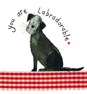EDB/Labradorable