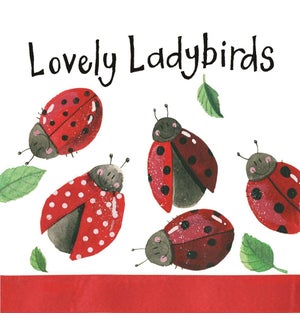NOTEPAD/Ladybirds (Mini)
