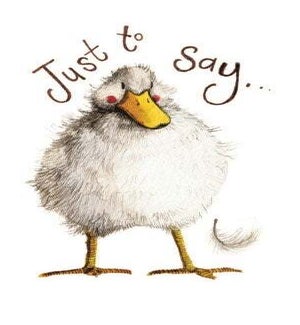 NOTES/Duck
