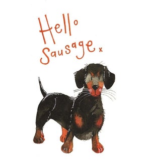 NOTES/Hello Sausage
