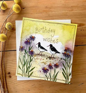 BDB/OYSTERCATCHER & SEA ASTER