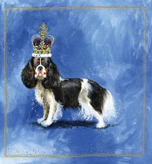 BDB/KING CHARLES