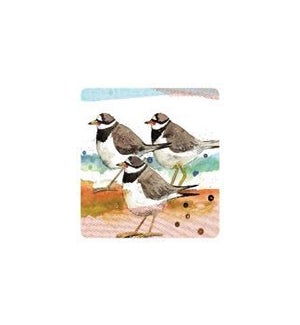 PPK/108 Seaside Coasters*