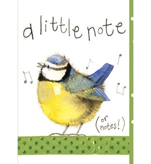ED/Little Note Blue Bird