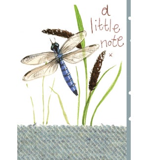 ED/Little Note Dragonfly