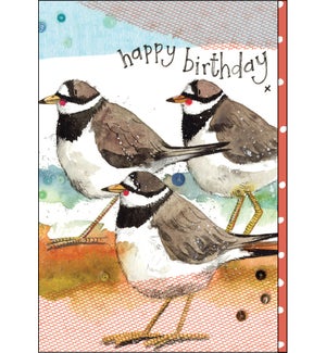 BD/Ringed Plovers