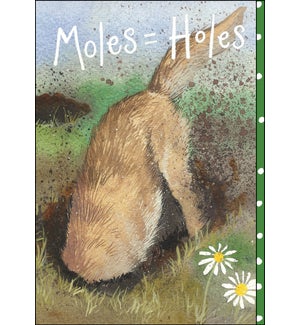 GL/Moles = Holes