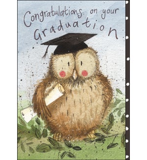 GR/Graduation Owl