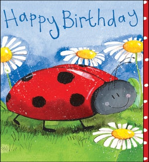 BD/Little Ladybird