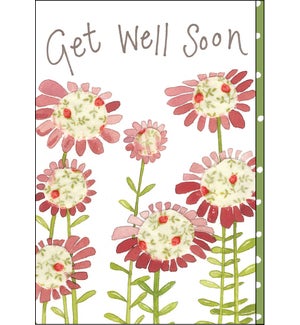 GW/Get Well Flowers