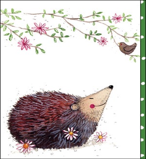 TY/Thank you Hedgehog