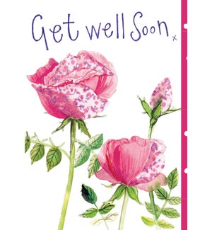 GW/Get Well Roses
