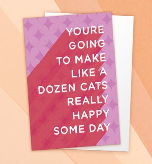 BD/Dozen Cats