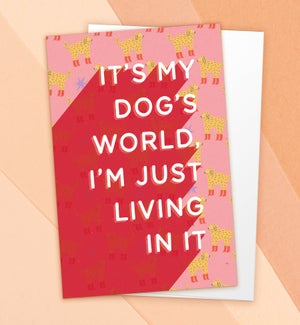 ED/Dog's World