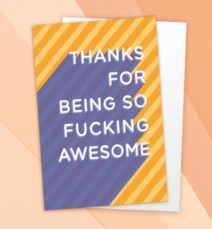 TY/Fucking Awesome