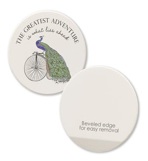 COASTER/The Greatest Adventure