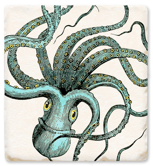 COASTER/Octopus