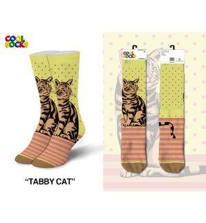 SOCKS/Tabby Cat