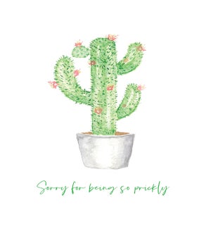 AP/Prickly Cactus