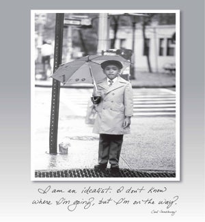 BD/The Little Gentleman