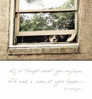 GW/Doggie In The Window
