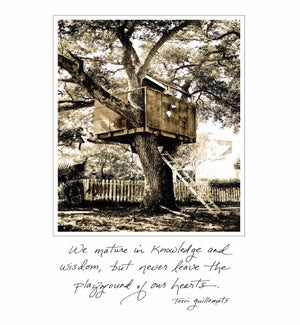 CO/Old Treehouse