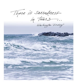 SY/Rough Waters