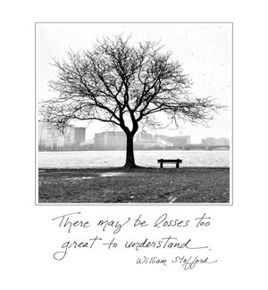 SY/Boston Winter
