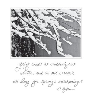 SY/Depth of Winter