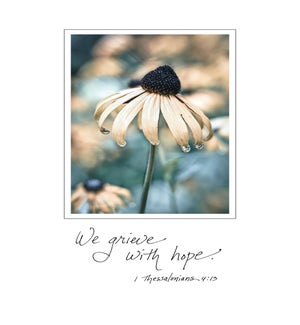 SY/Tears of a Flower
